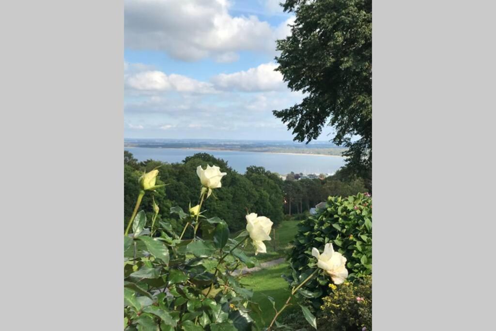 Villa Med Fantastisk Utsikt 巴斯塔德 外观 照片